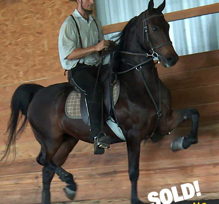 Fall sales are brisk at Sunrise Stables!