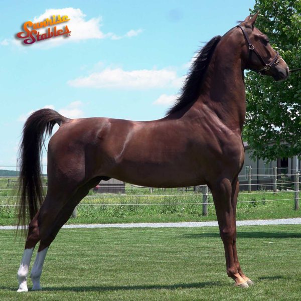 Newmont's Beauregard