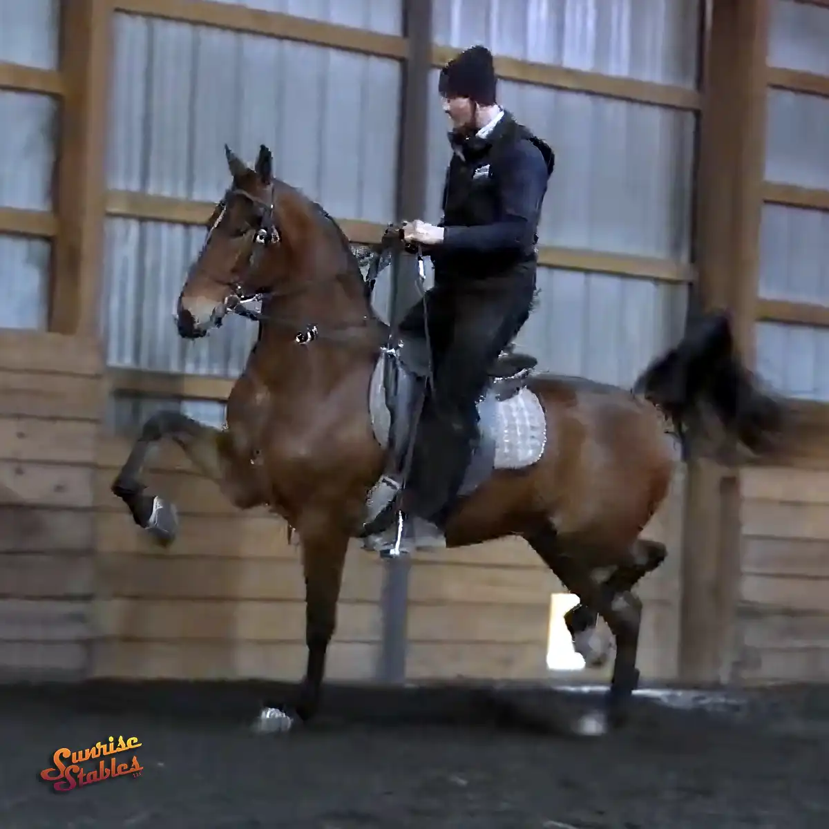 PVE Nighttime Performance