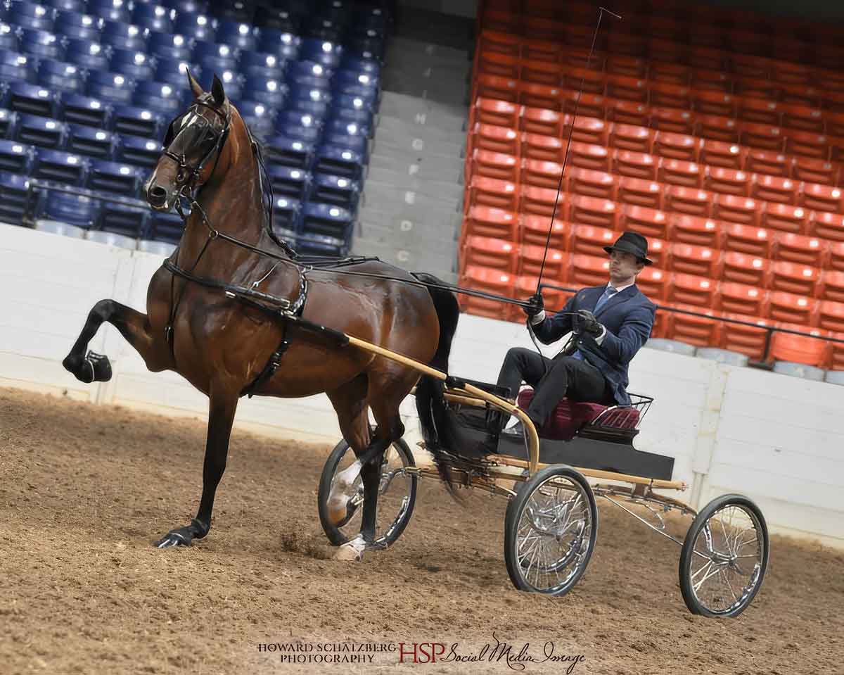 Evening Skyline Evening Skyline