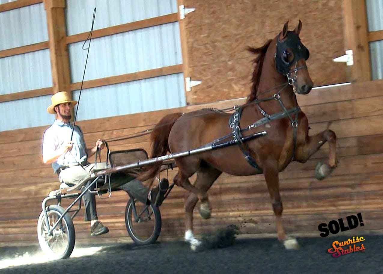 pve-central-explosion-6-SOLD PVE Central Explosion SOLD