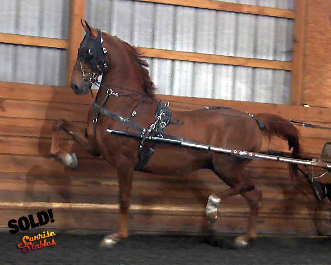 pve-central-explosion-7-SOLD PVE Central Explosion SOLD