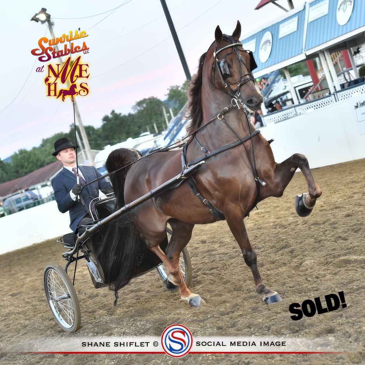 CRMS Blinding Lights