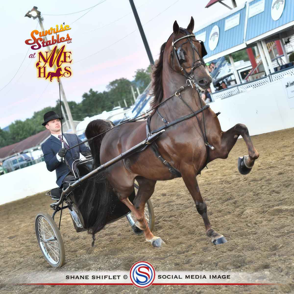 CRMS-Blinding-Lights-053-057-25NEM CRMS Blinding Lights