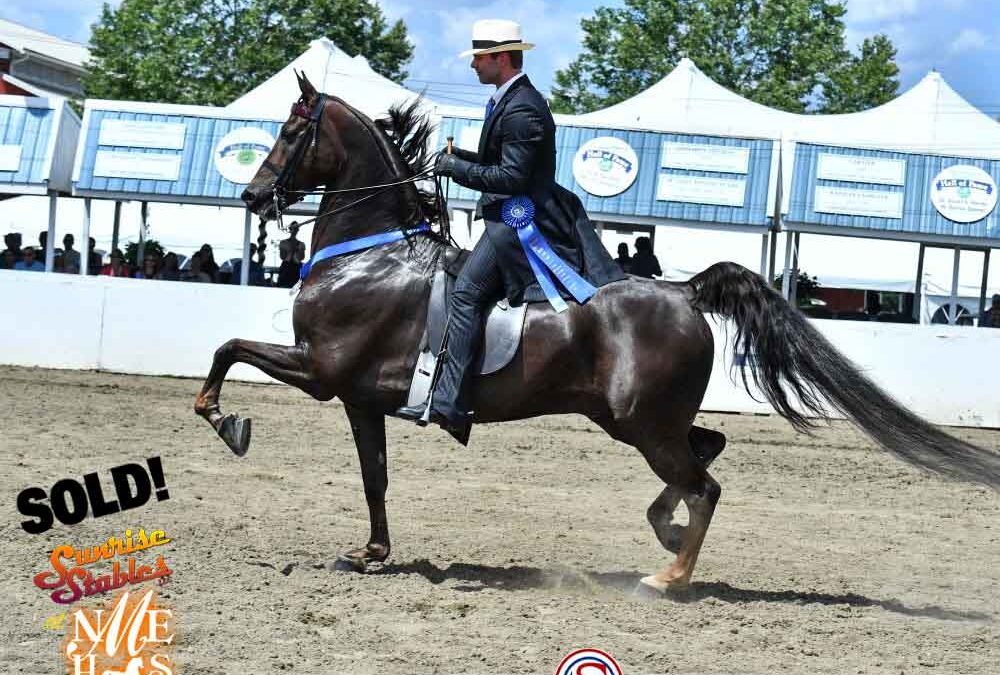 Our best wishes to Amy Roberts & CRMS Blinding Lights