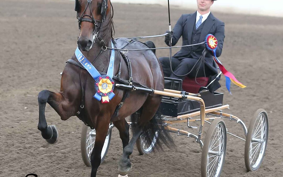 Kim Cramer gets Sassy in New England!