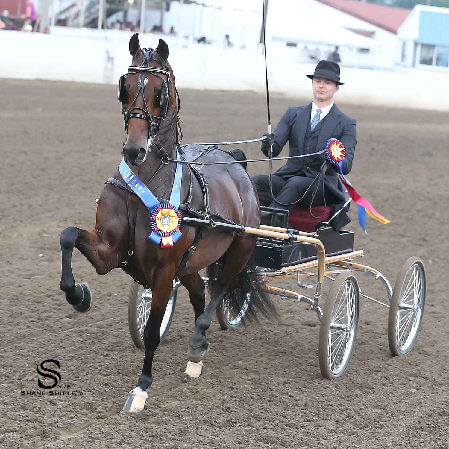 Kim Cramer gets Sassy in New England!