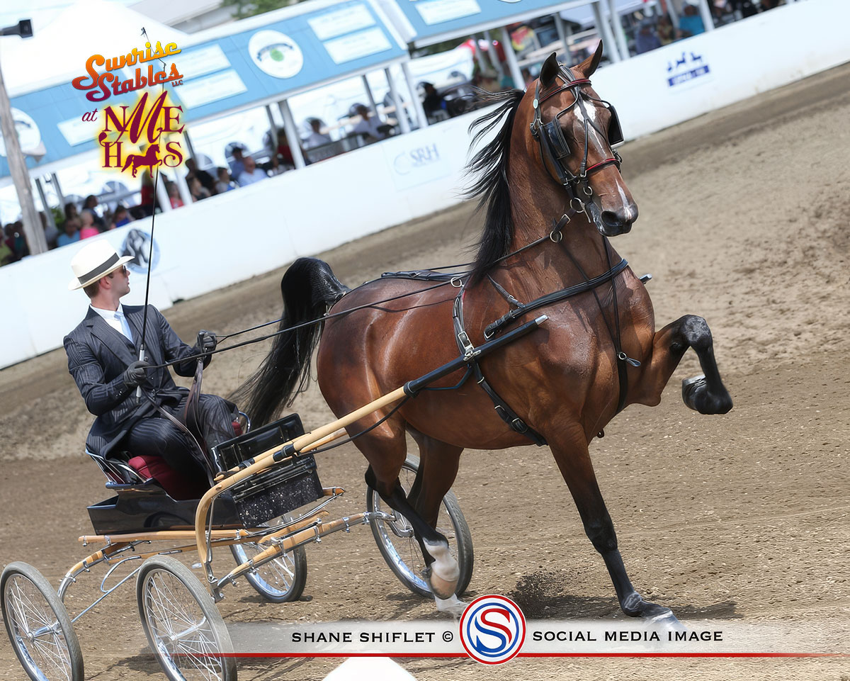 Evening-Skyline-074-066-25NEM Evening Skyline