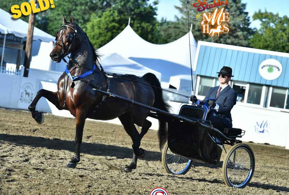 Fire Run Farm Takes A FLIGHT RISK!