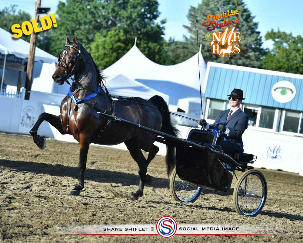 Fire Run Farm Takes A FLIGHT RISK!