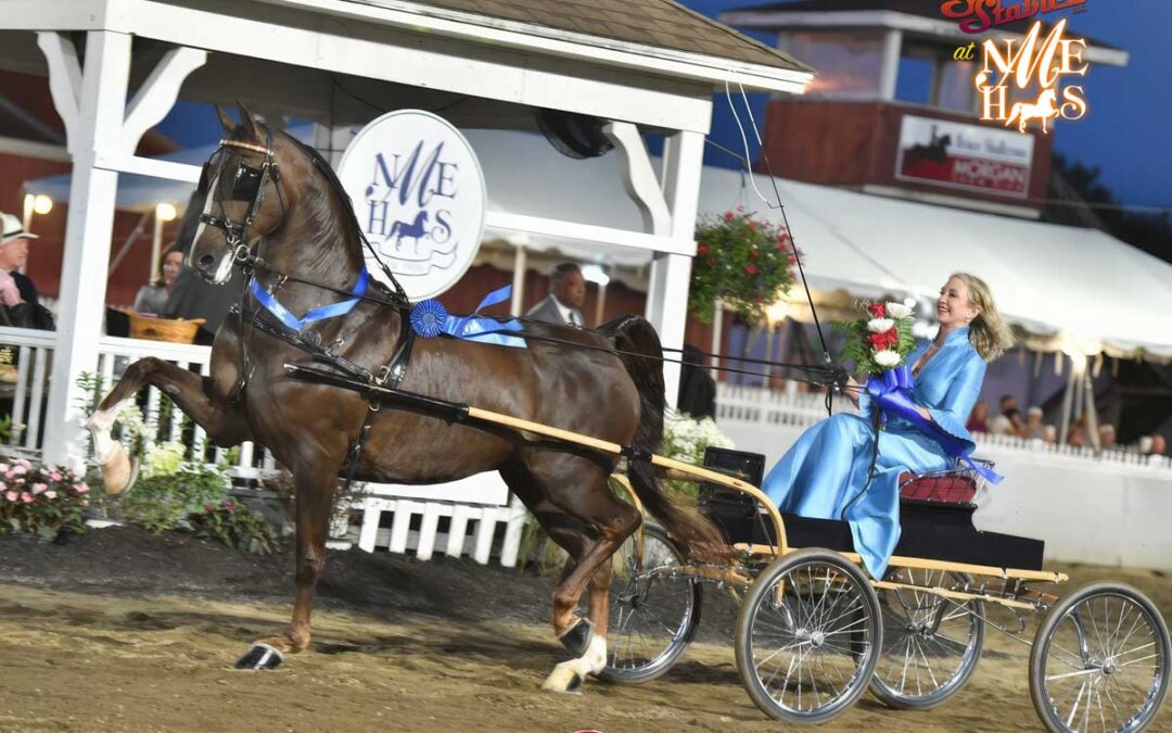 And that’s a WRAP! Sunrise at New England 2025