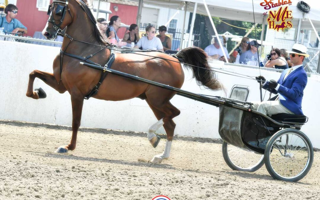 Newmont’s Beauregard