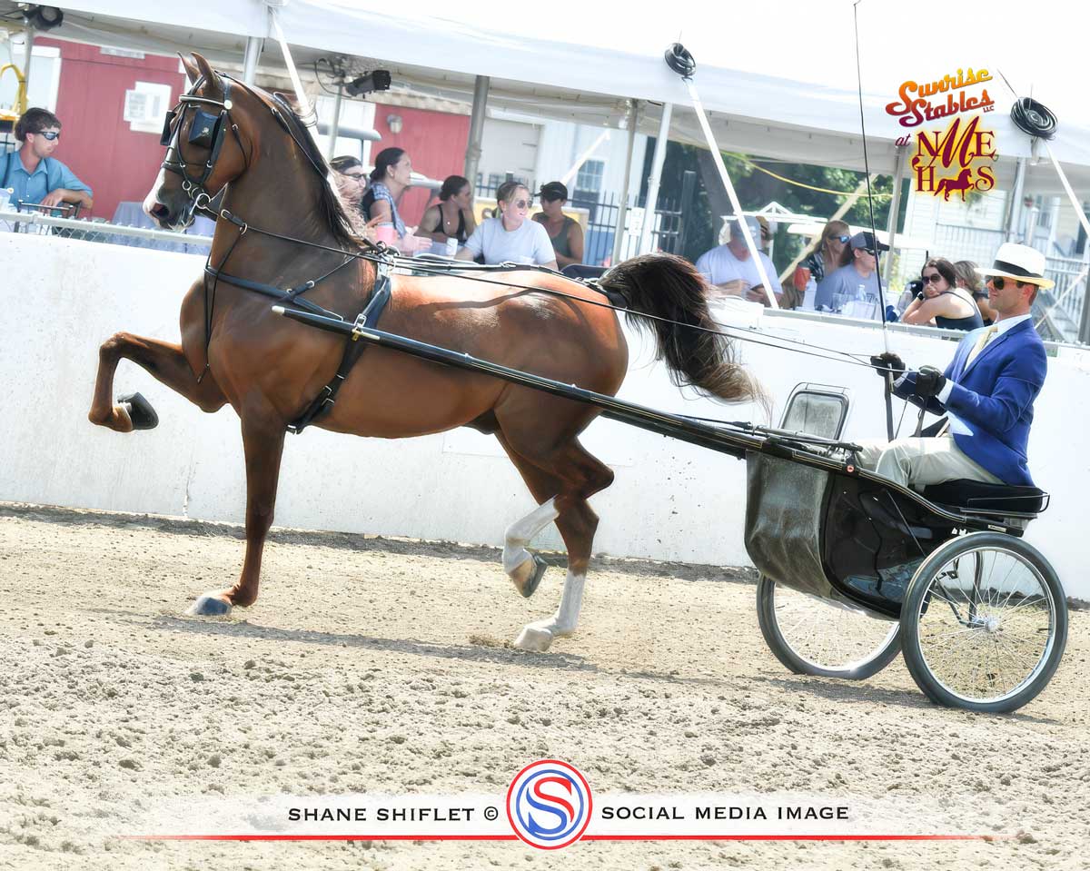 Newmont’s Beauregard