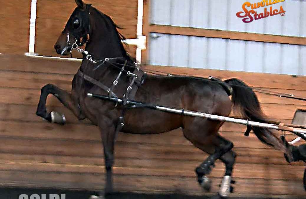 Kimberly & Marie get CHARMED!