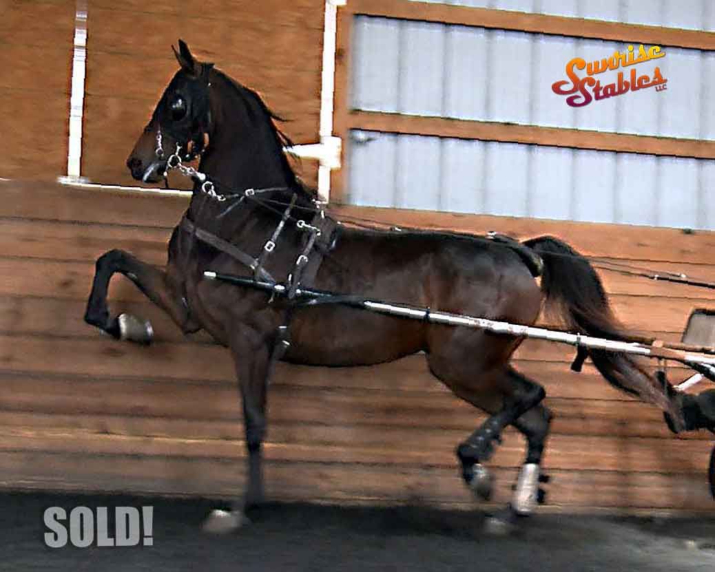 Kimberly & Marie get CHARMED!