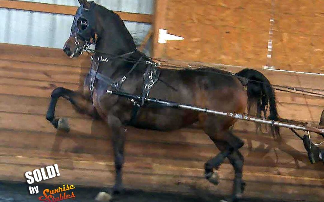 LL Persistence heads home with Linda Sheridan!