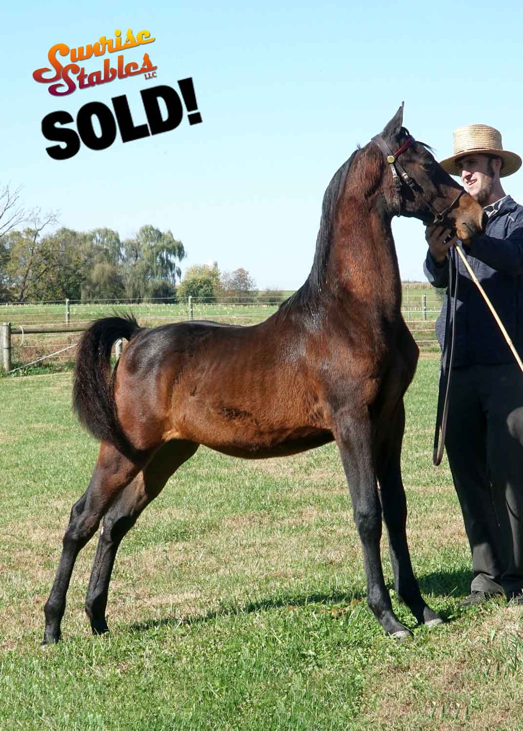 Congratulations to Marie Ciaffa on getting PIRATED!