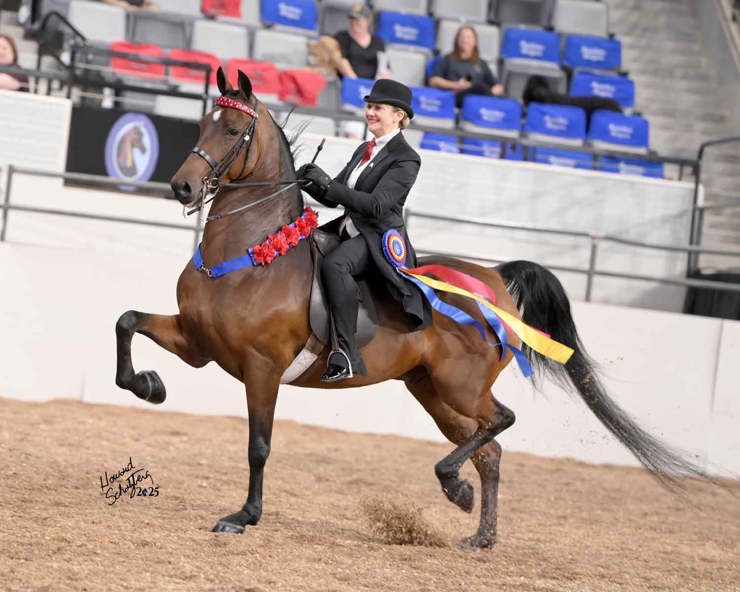 fire run revolution, Morgan gelding sold by sunrise stables llc