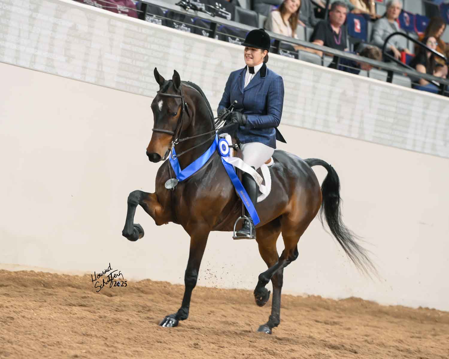 jy seraphic, grand national champion, sold by sunrise stables llc
