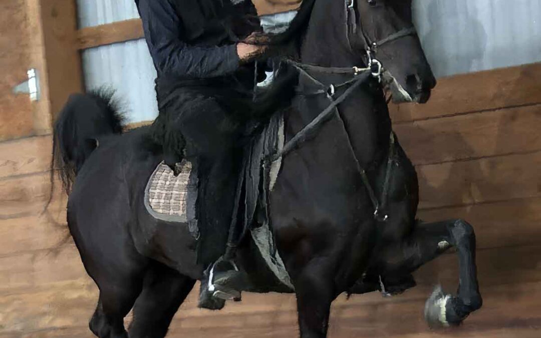 Vintage Acres Apache Maid