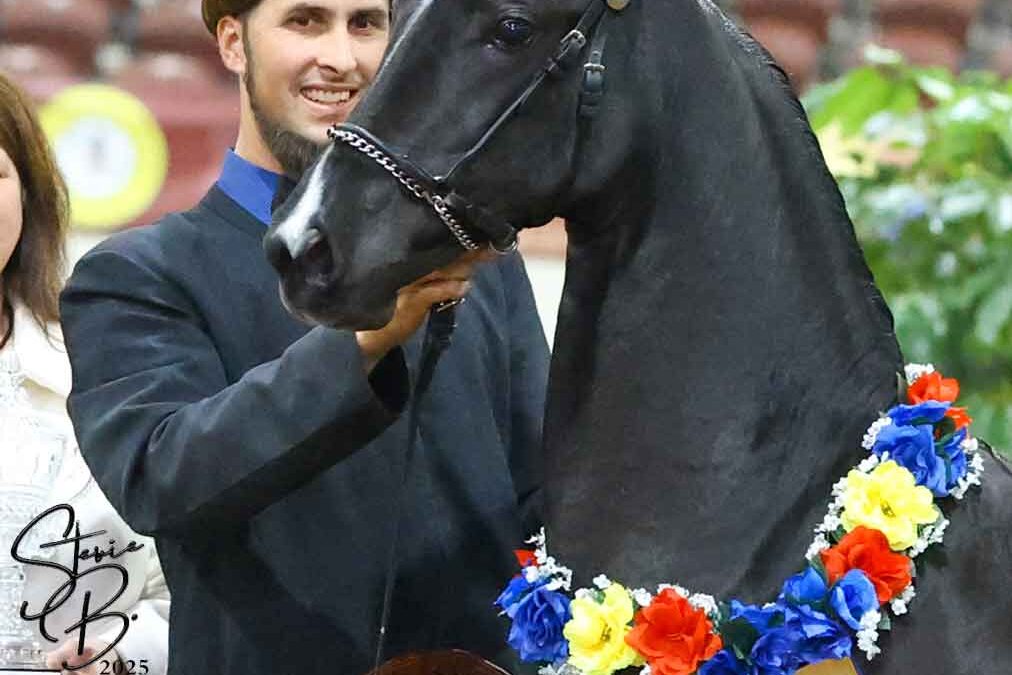 Kim Swartz gets a little IRISH!