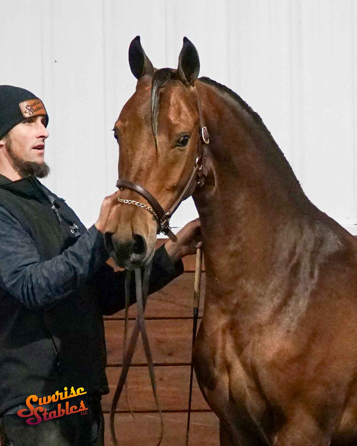 refined-by-fire-1 Refined By Fire