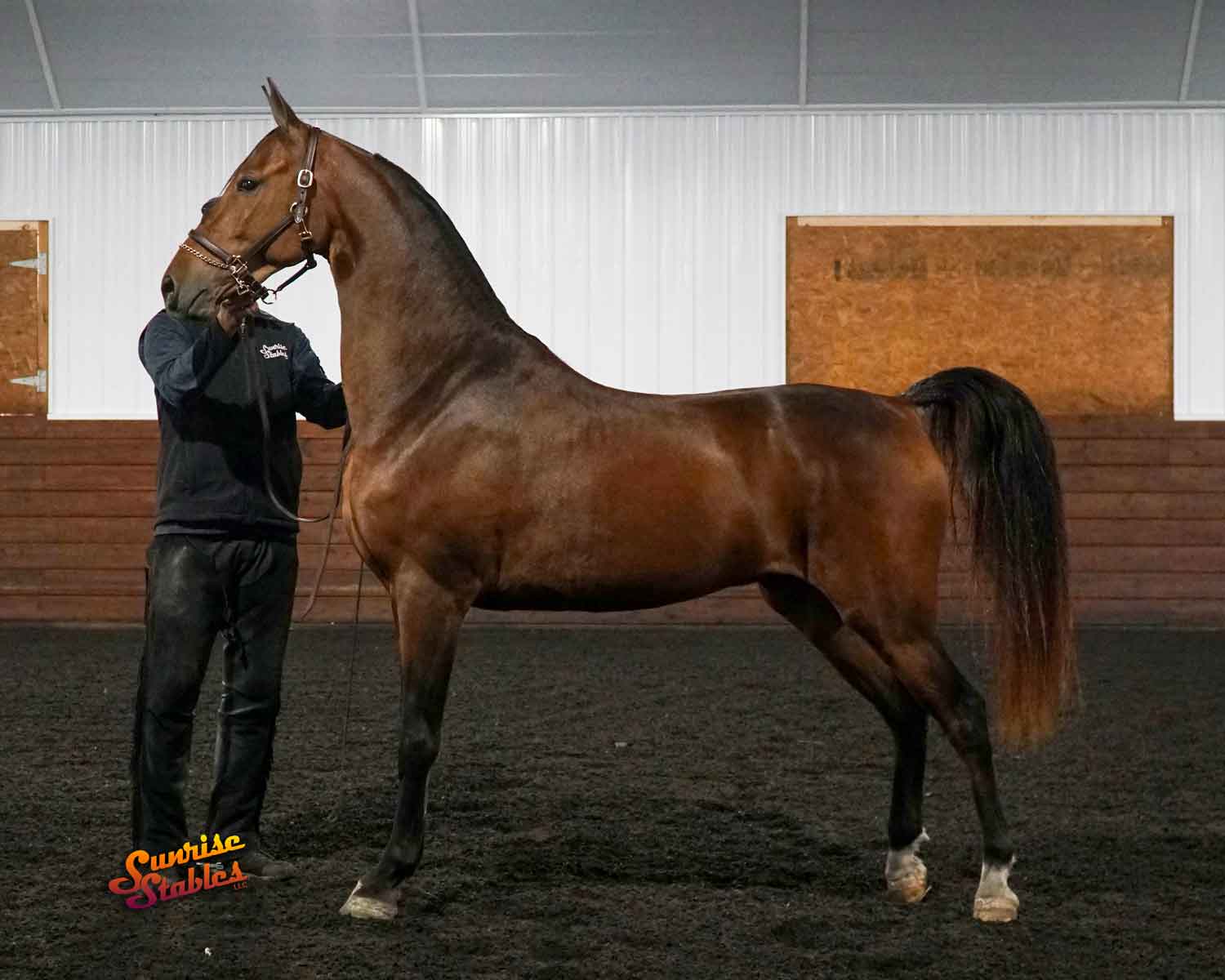 refined-by-fire-2 Refined By Fire