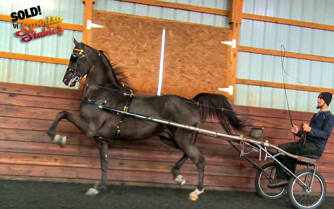 Mar-A-Lago goes WEST!