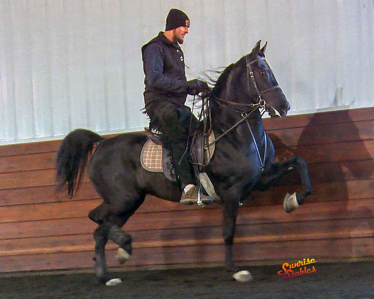 Vintage Acres Apache Maid