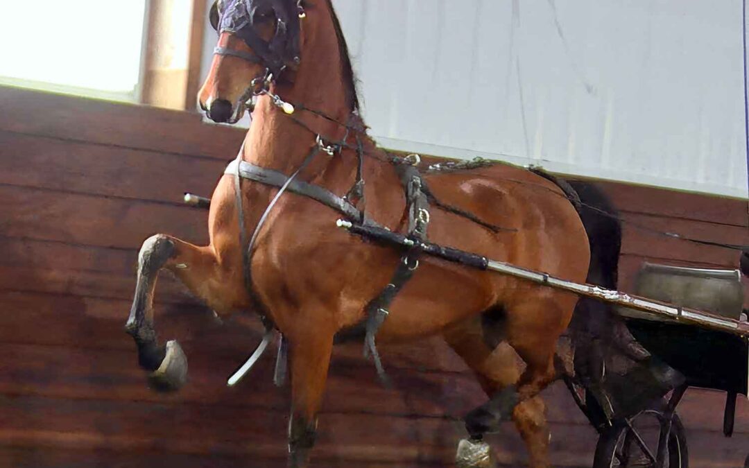 Fire Run Dreamboat Annie