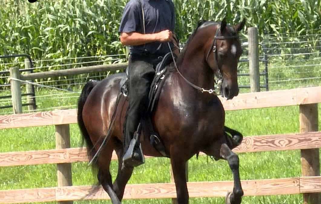 Congratulations to Hannah Stetson!