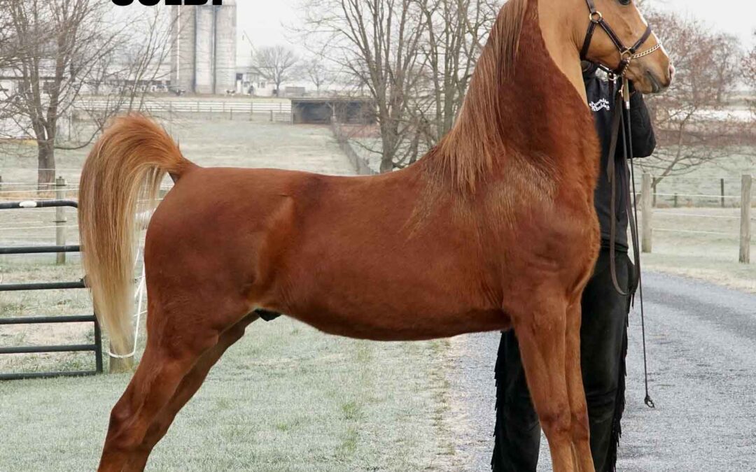 The Lorinos get UNREAL!