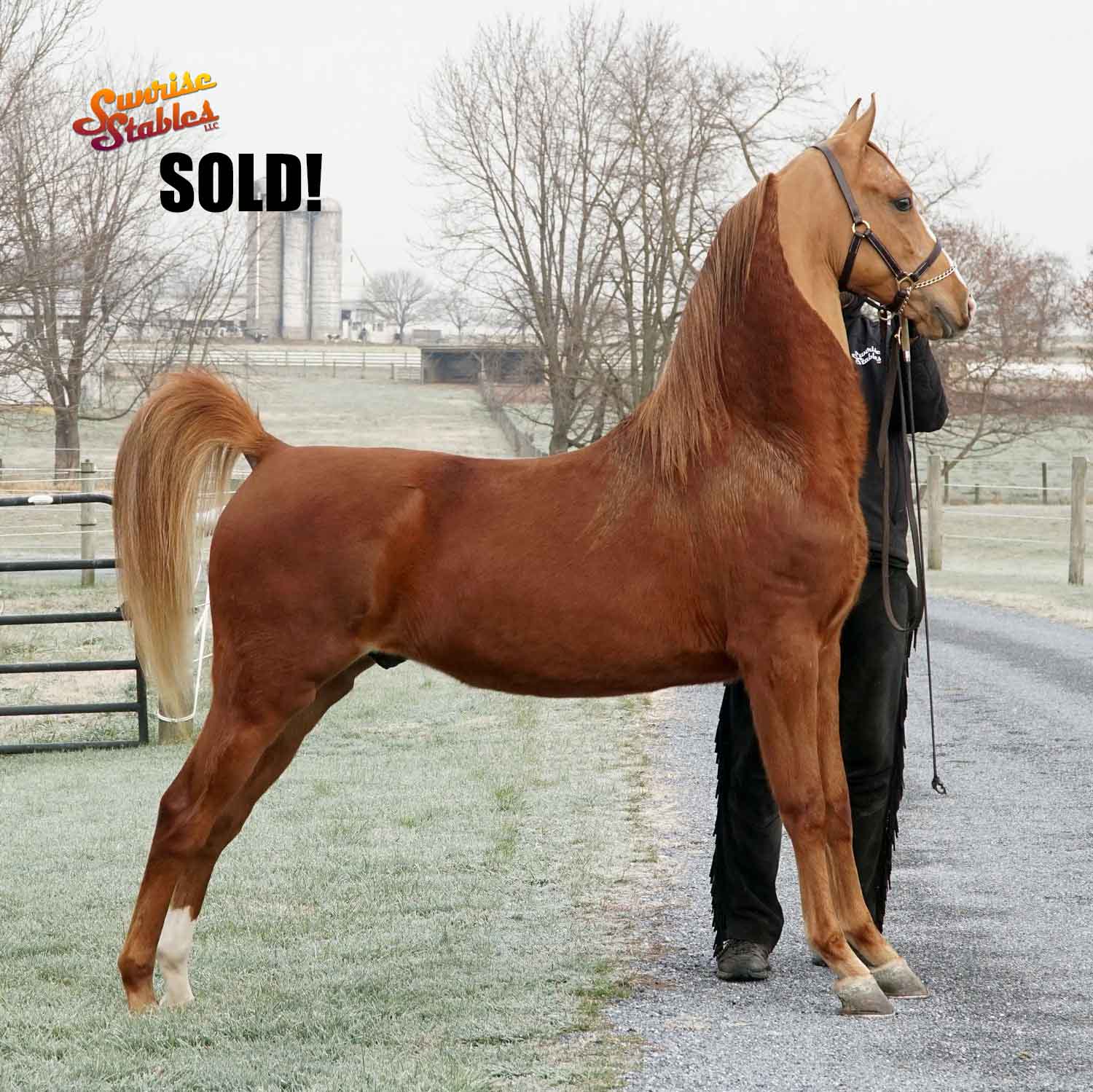 The Lorinos get UNREAL!