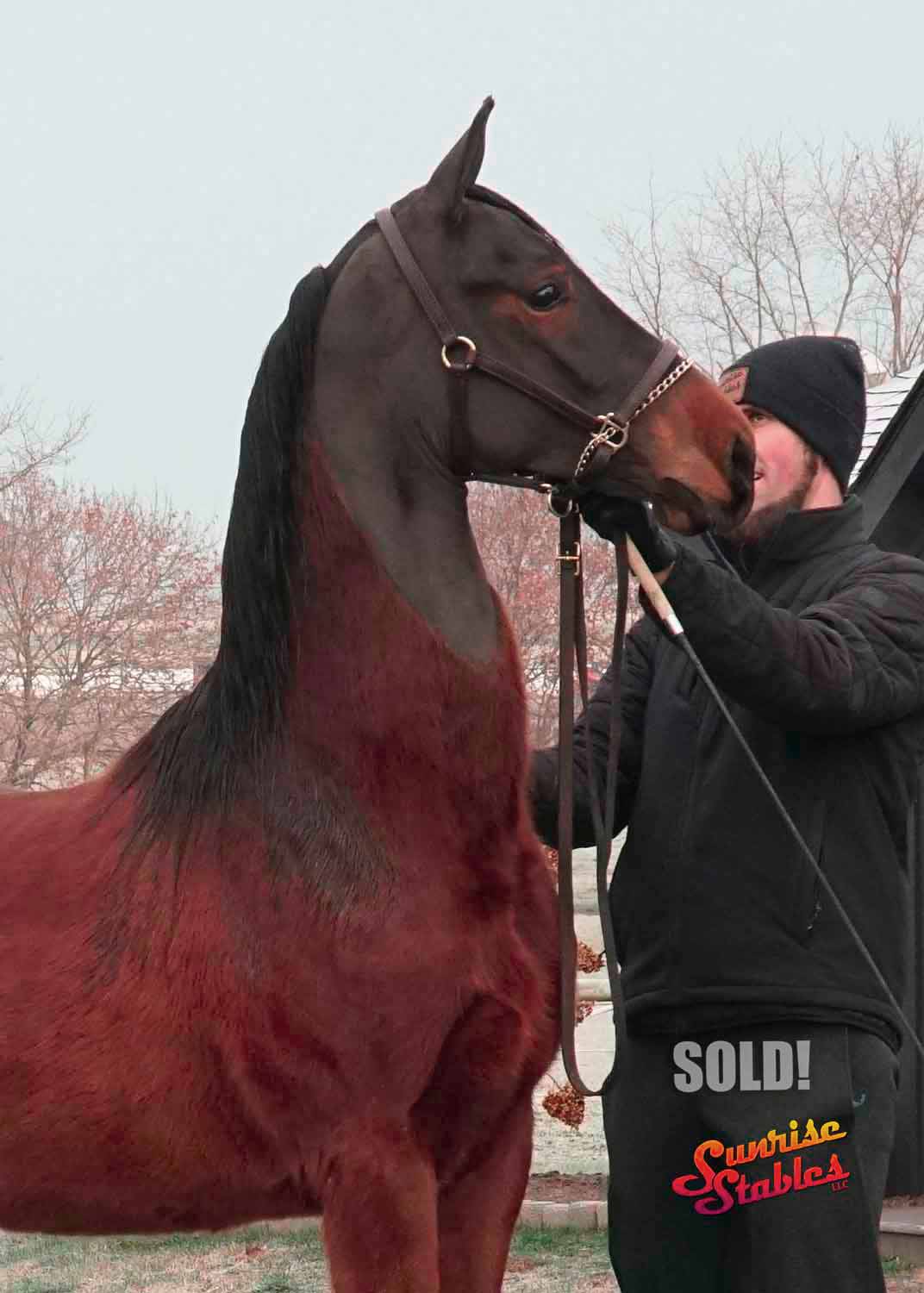 It’s a HEATWAVE in the Northeast for Marie & Kimberly!