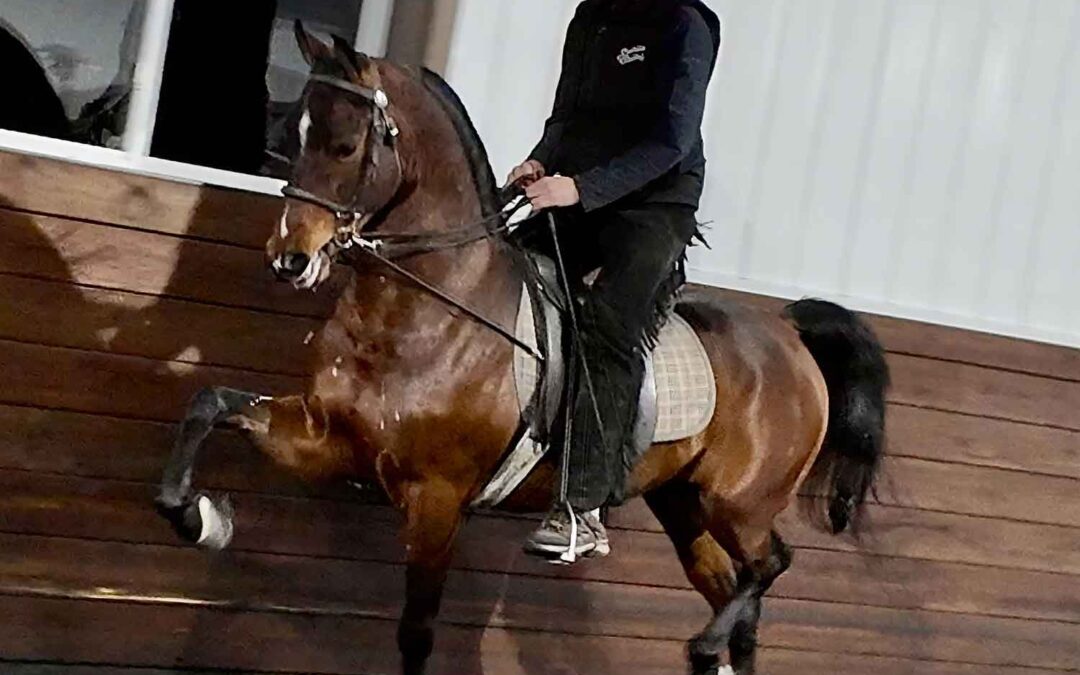 GCT Legendary Spirit