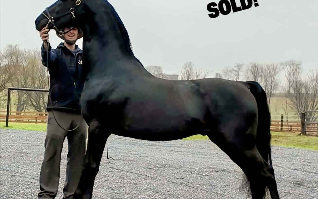 Congratulations to Lisa McTygue!