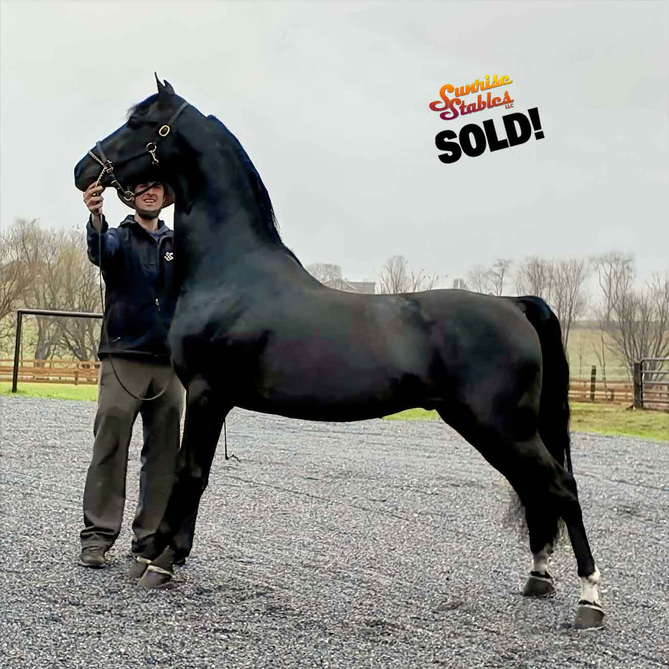 Congratulations to Lisa McTygue!